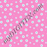 Colour:C