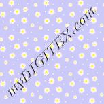 Colour:J