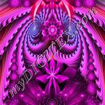 Colour:B