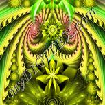 Colour:D