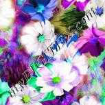 Colour:B