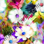 Colour:D