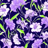 Colour:D