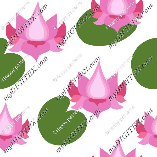Pink lotusflowers lotuses
