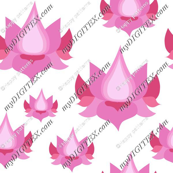 Pink lotuses pink lotusflowers