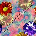 Colour:K