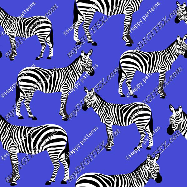 Zebras on blue