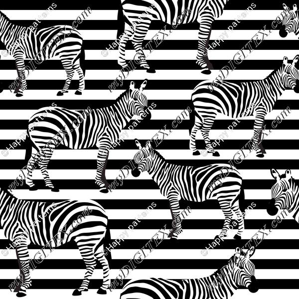 Zebra on Stripes