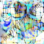 Colour:F