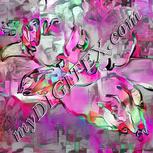 Colour:B