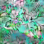 Colour:C