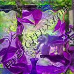 Colour:D