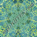 Colour:K