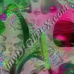 Colour:B