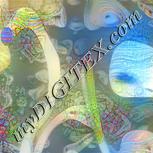 Colour:F