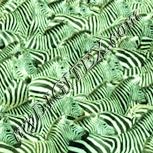 Colour:K