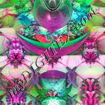 Colour:B