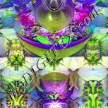 Colour:D