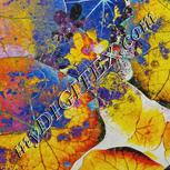 Colour:A