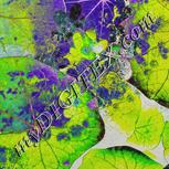 Colour:D