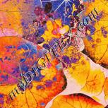 Colour:J
