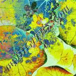 Colour:K