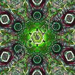 Colour:C