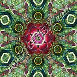 Colour:K