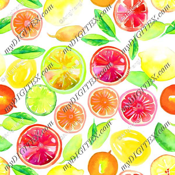 Citrus in Watercolor White BG