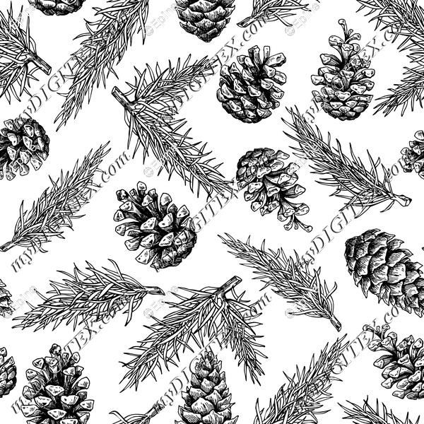 Fir and pine cone
