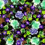 Colour:D