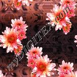 Colour:J