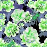Colour:C
