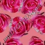 Colour:B