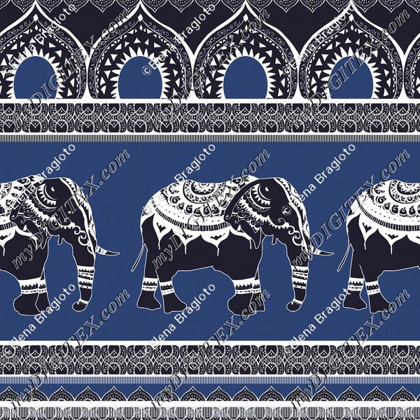 Ethnic elephants