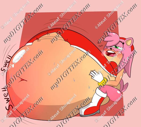 fat_of_she_amy_edition_by_hedgehogstew_daw02ep-pre