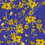 Colour:F