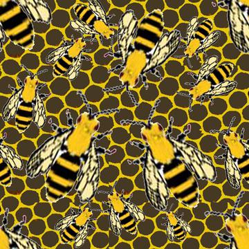 MY Wasp Pattern