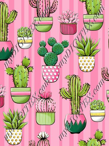 Cactus Pink 30x30cm