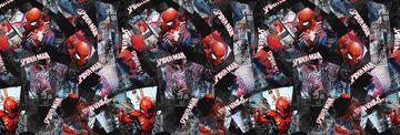 Amazing Spiderman