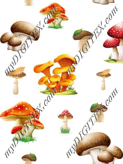 Forest mushrooms on White Autumn