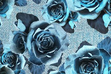 jEANS ROSES III LIGHT