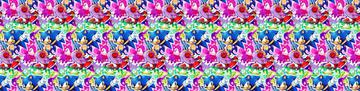 Crazy Sonic Colour
