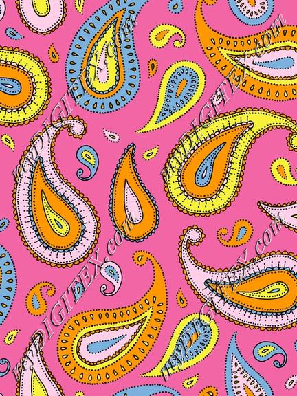 Colorful fun paisley