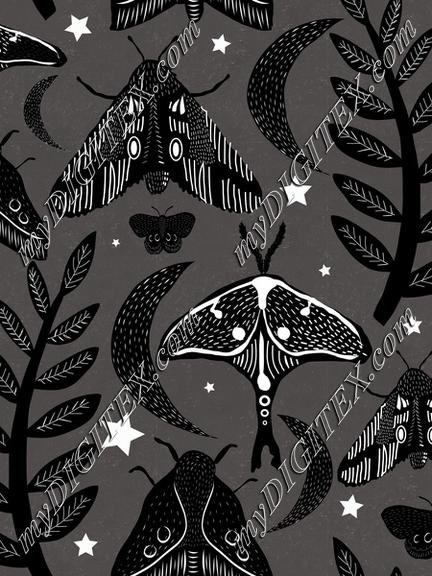 Moths Night Texture Stars Forest