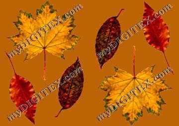 autumnleaves