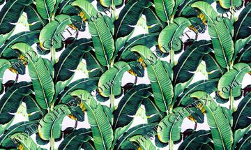 images-about-pattern-on-pinterest-scandinavian-wallpaper-palms-and-beverly-hills_scandinavian-wallpaper_landscaping-design-ideas-modern-kitchen-designs-online-loft-interior