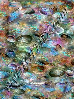 abalone impression