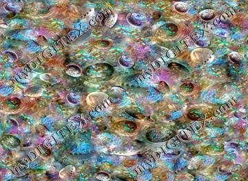 abalone shells