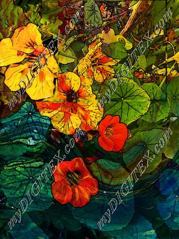 marbled nasturtiums print 2